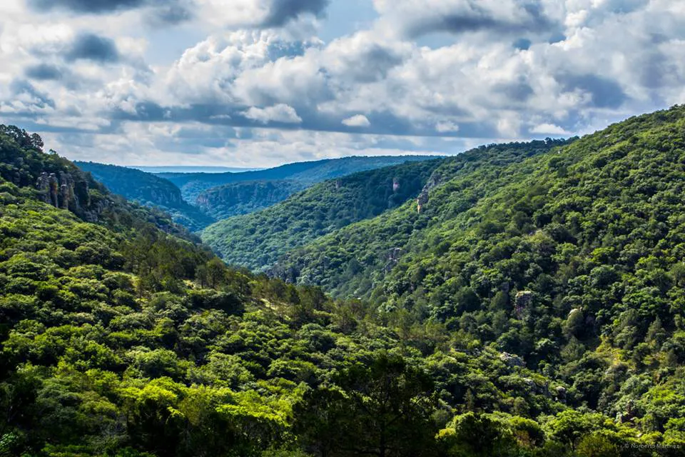 Sierra de lobos